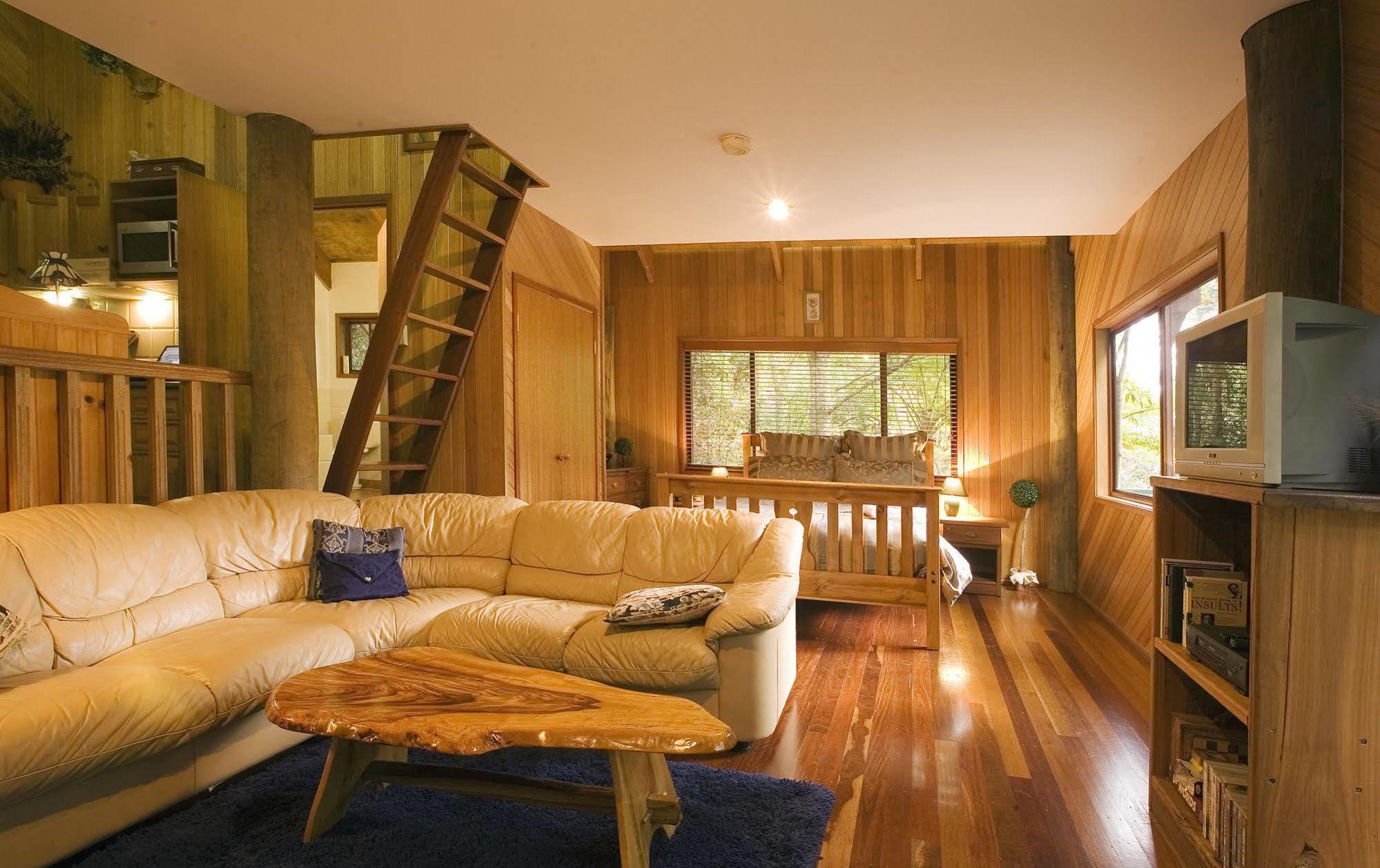Villa Springbrook Lyrebird Retreat Exterior foto