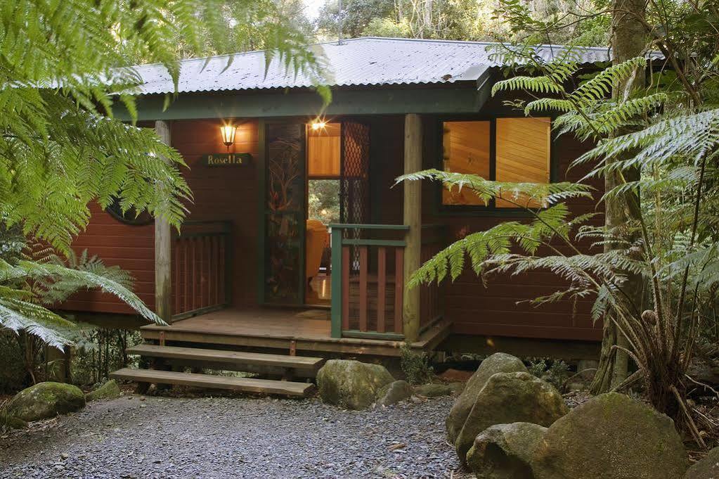Villa Springbrook Lyrebird Retreat Exterior foto